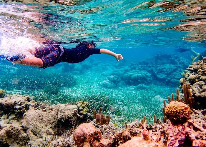 Aldeas Taray Admer 9 公寓 *