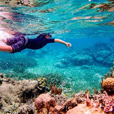 Aldeas Taray Admer 9 Lägenhet *